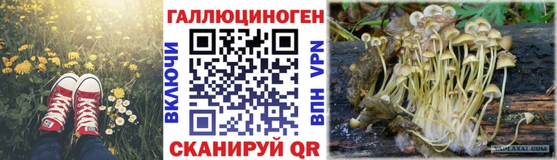 hydra ССЫЛКА  Соль-Илецк  Псилоцибиновые грибы мухоморы 