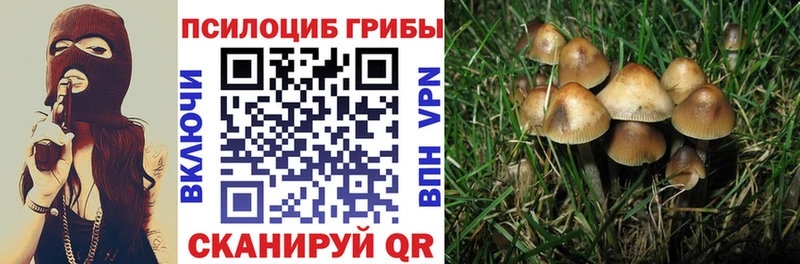 Псилоцибиновые грибы мухоморы Соль-Илецк