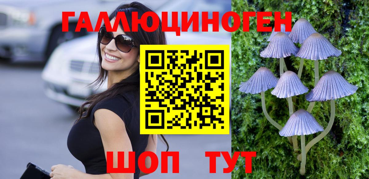 Галлюциногенные грибы Psilocybe Соль-Илецк