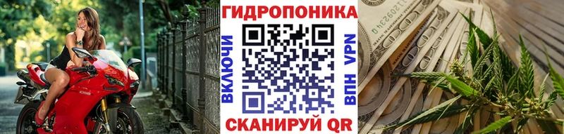 цены наркотик  нарко площадка как зайти  Каннабис план  Соль-Илецк 
